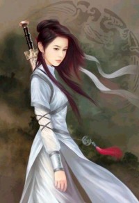 杨门女将穆桂英别传